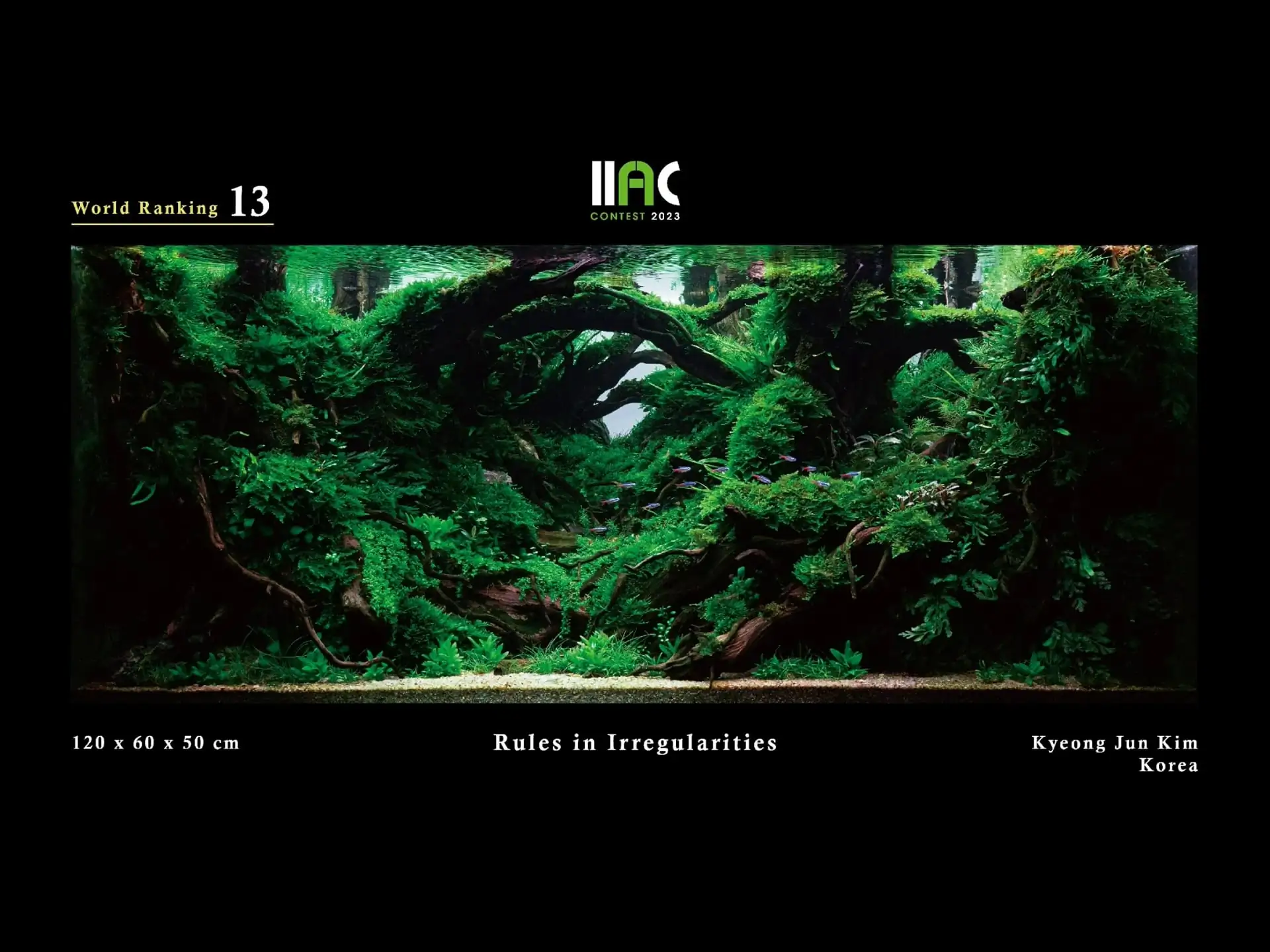 Rules in Irregularities - IIAC 2023 #13 Kyeong Jun Kim / South Korea